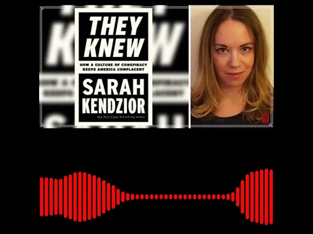 Sarah Kendzior on Trump and MAGA's intention to collapse the US economy. Nov. 20 2024