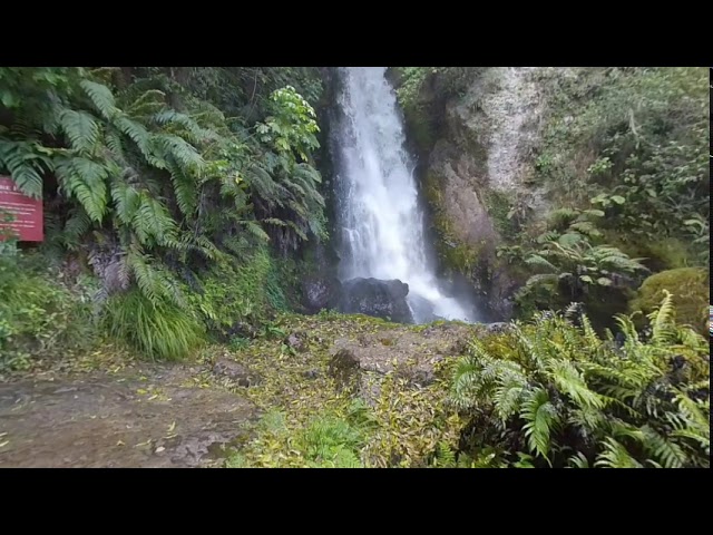 VR180 video of the Wairere Falls