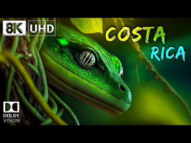 COSTA RICA 🇨🇷 8K Video Ultra HD 60FPS Dolby Vision | Costa Rica 8K HDR | 8K TV