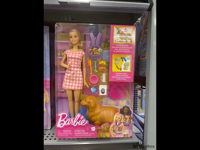 Barbie Brushes Pet Dog Outside of Toybox #barbiedoll #barbie