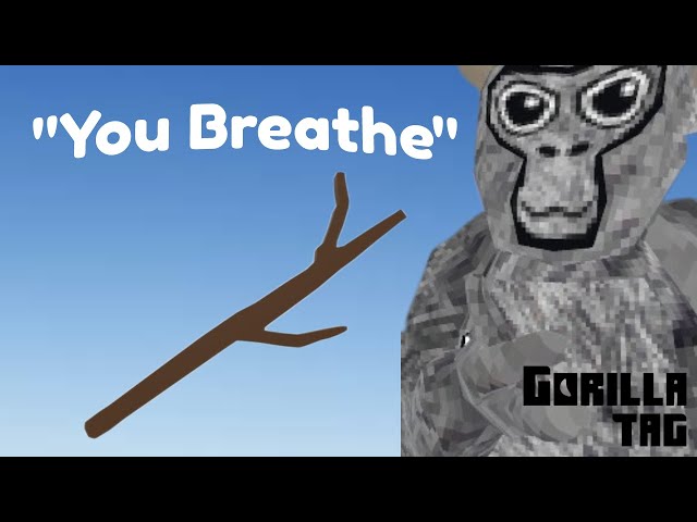 What your Gorilla Tag Cosmetic Says about YOU.. 😂