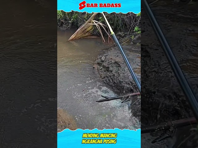 Mantap Strike Ikan Wader Di Sungai Kecil‼️ #mancingwader