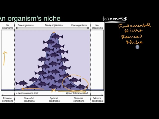 An organism's niche