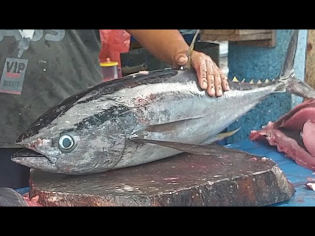 Satisfying Skilled hands of workers at Sorong fish market serving customer orders, 🔥🔥Live 24 Feb 25