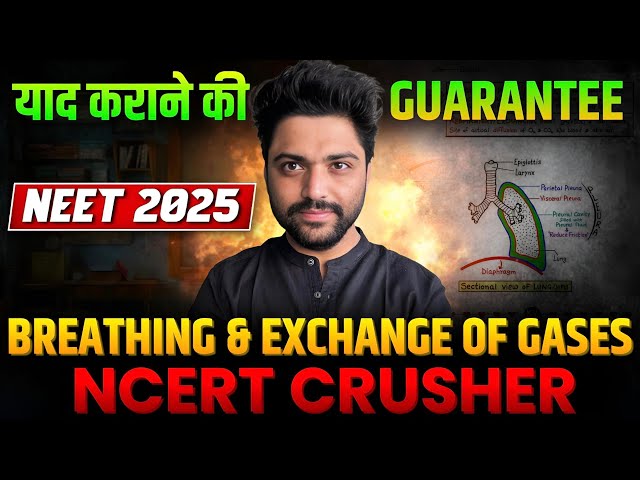 NCERT सफाया In 1 Hour🔥| Breathing & Exchange Of Gases | Neet 2025🚀