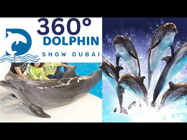 Dubai Dolphinarium Show 2025 in 360° | 8K