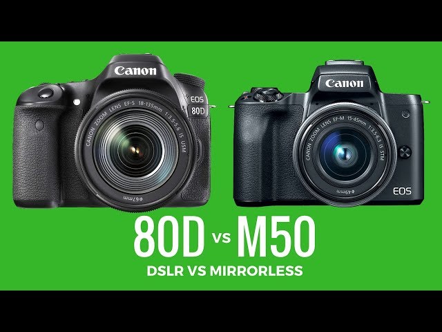 Canon 80D vs Canon M50 - FIVE Reasons to Buy the 80D OVER the M50