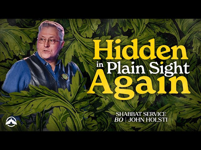 Hidden In Plain Sight Again | TEACHING ONLY | John Holsti