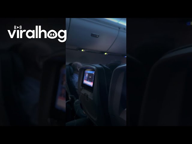 News Unfolds On TV While Planes Are Diverted || ViralHog