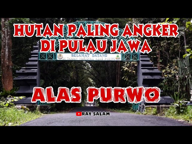 Cerita Misteri Alas Purwo Banyuwangi - Hutan Paling Angker #15