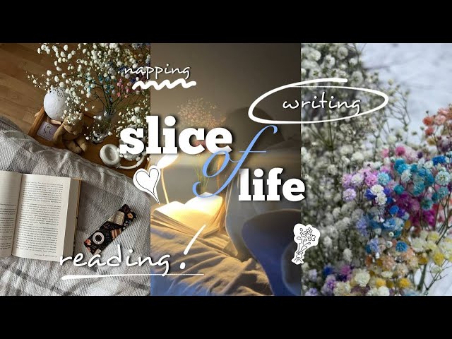 cosy SLICE OF LIFE vlog🌸reading,📖writing and napping💤