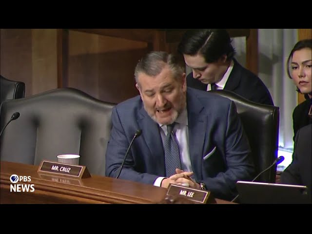 WATCH: Sen. Cruz questions Stefanik in confirmation hearing