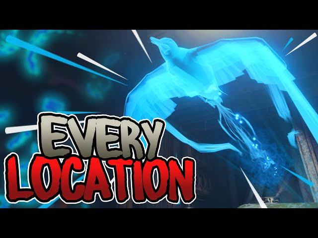 All Bird Locations on BLOOD OF THE DEAD! (How To Find All 42 Birds Easier | BO4 Zombies Guide)