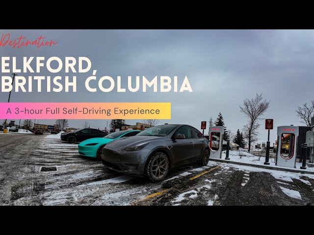 Tesla 3 Hour Full Self Driving from Calgary, Alberta to Elkford, BC | FSD 13 | Zero Disengagement