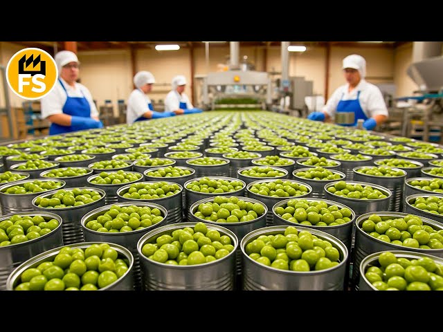 100 million cans a year! How are canned peas made? 😲