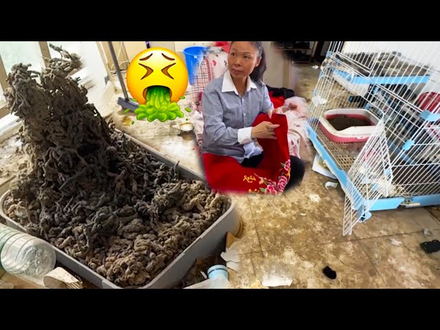 😱Single Mom Never Sweeps The Floor? The Floor Is Full Of Dirt, So Depressing!😭