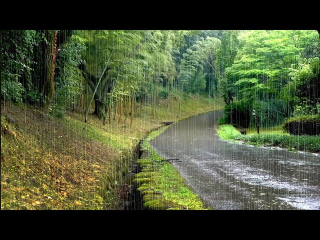 Sleep Well Instantly with Cool Rain. Rain Sounds for Relax, Focus, and Study