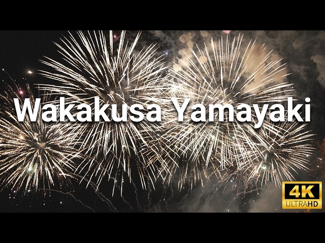 Wakakusa Yamayaki 2025 🔥 | Nara's Spectacular Fire Festival