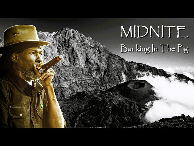 MIDNITE - Banking In The Pig (Live 𓋹 Lyrics)