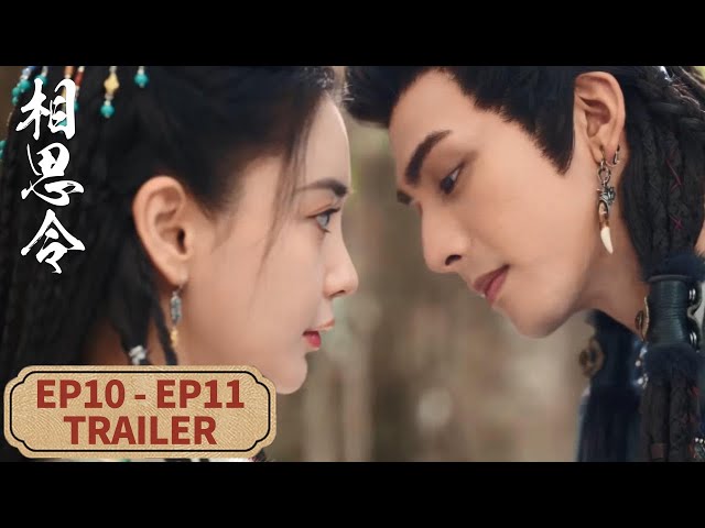 [Everlasting Longing] EP10 - EP11 Trailer Collection | Starring: #Angelababy #SongWeilong