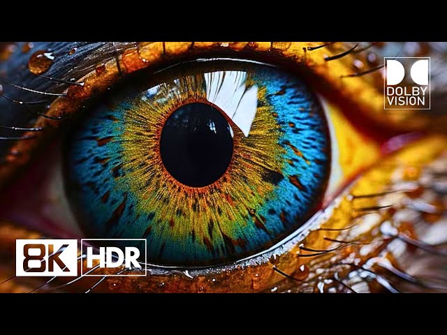 Most Unbelievable Dolby Vision 4K HDR Video ULTRA HD