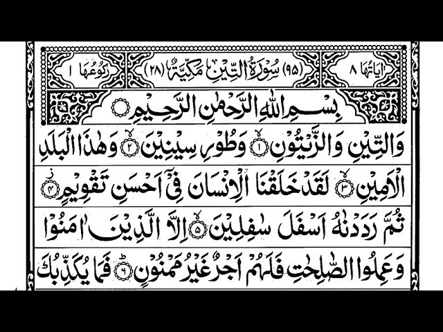 Surah At-Tin | quran recitation | surah watin qirat | surah al-tin | Surah 95 |al Quran | surah teen