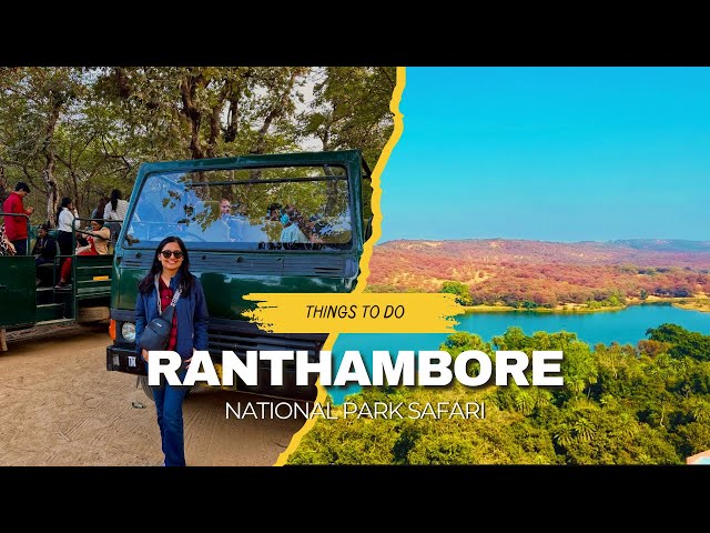 Ranthambore National Park | Jungle Safari | Weekend Trip from Delhi | Fort | Sawai Madhopur