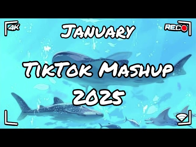 Tiktok Mashup 2025!🐋