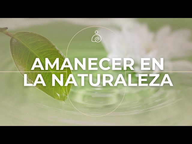 🌿🌿 Música Para Amanecer Tranquilo | Libera El Estrés Y la Ansiedad🌿🌿