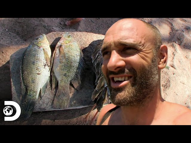 Ed monta armadilhas para caçar pássaros e peixes | Ed Stafford, o sobrevivente | Discovery Brasil