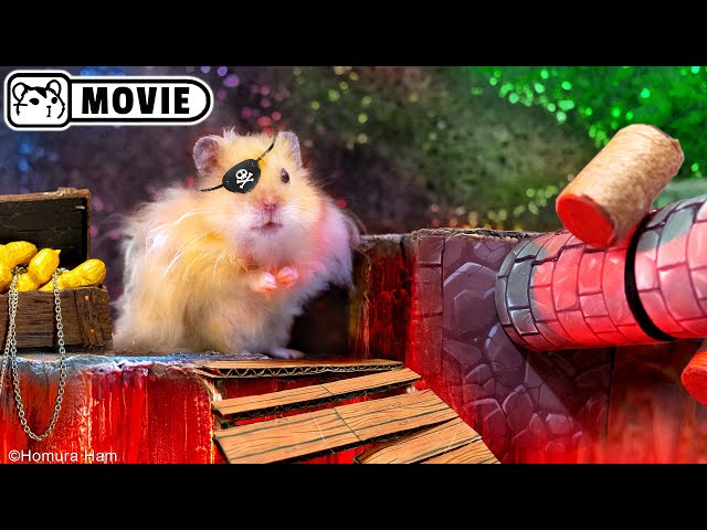 Hamster Pirate - Movie 🏴‍☠️ Hamsters of the Caribbean 🏴‍☠️ Homura Ham