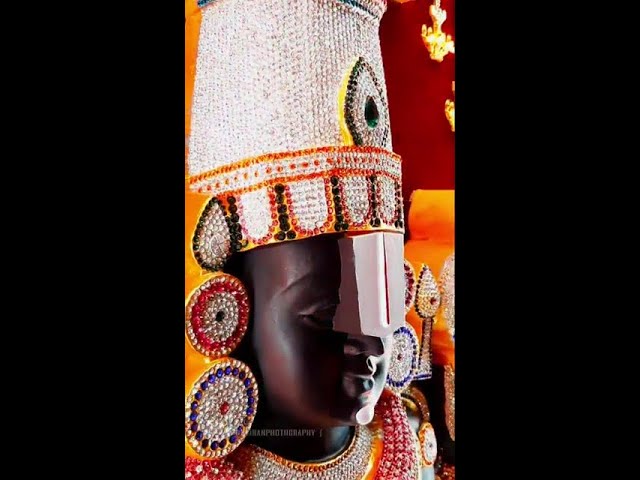 Tirupathi Balaji dressed in full diamond and gold | Done only once a year