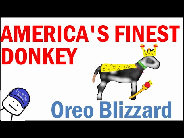 America's Finest Donkey: Oreo Blizzard