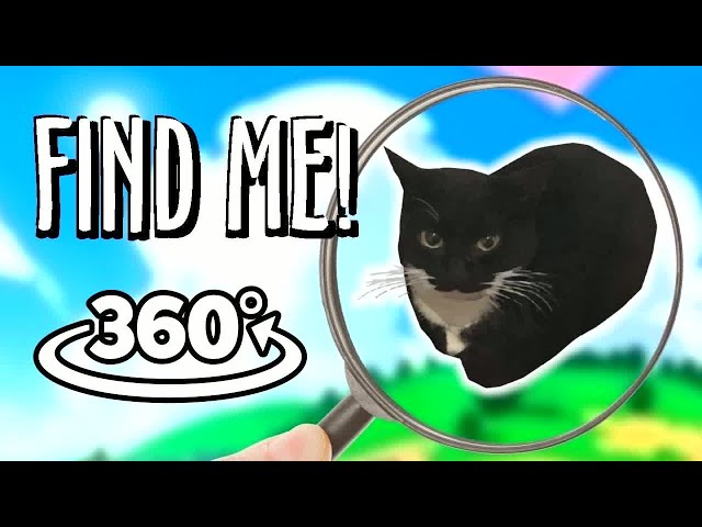 Finding Maxwell the Cat!: VR 360° 4K Hide & Seek Challenge #HideAndSeek #FindingMaxwellTheCat