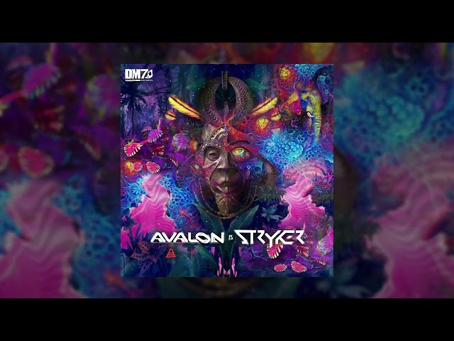 Avalon & Stryker - Africa | #DM7040