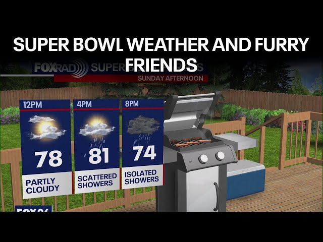 Super Bowl weather history, furry friends and more | Forecasting with Friends