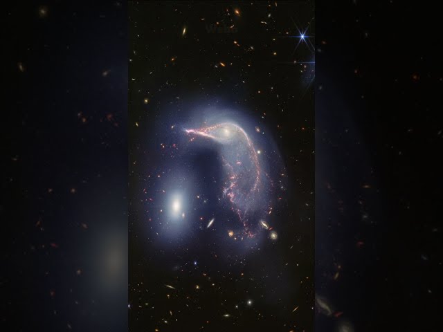 Comparing Hubble & Webb Telescope Views of the Interacting Galaxies Arp 142 (the Penguin & the Egg)