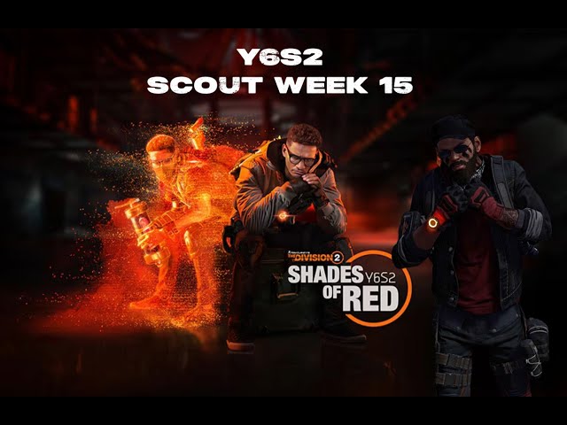 The Division 2: Scout week 15 Activities! Y6S2