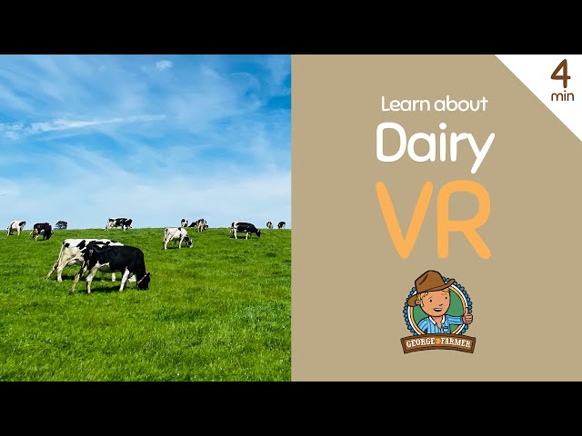 George the Farmer - Dairy VR