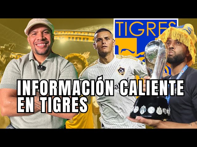 Cuando llega el refuerzo de Tigres? | Que pasará con Carioca?