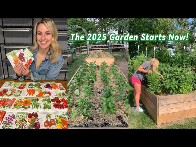 My 2025 Garden Plan - What I’m Growing & How to Get Started as a Beginner Gardener