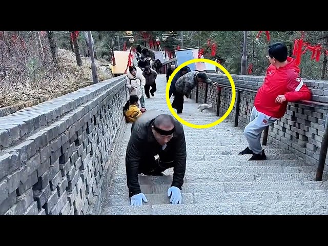 At the Temple Gate: A Man Kicked a Puppy Down the Stone Steps, Then...