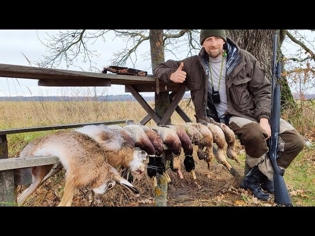 FANTASTIC HARE AND DUCK HUNTING