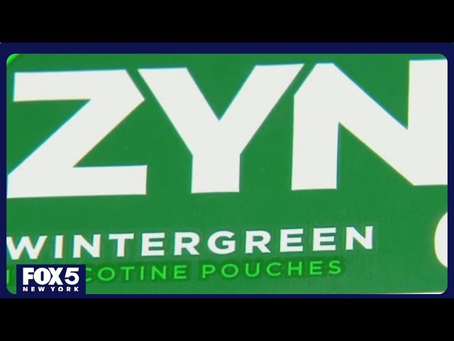 Teens turning to zyns instead of smoking: Should parents worry?