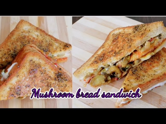 Mushroom bread sandwich |healthy breakfast recipe |Evening snack|bread sandwich|