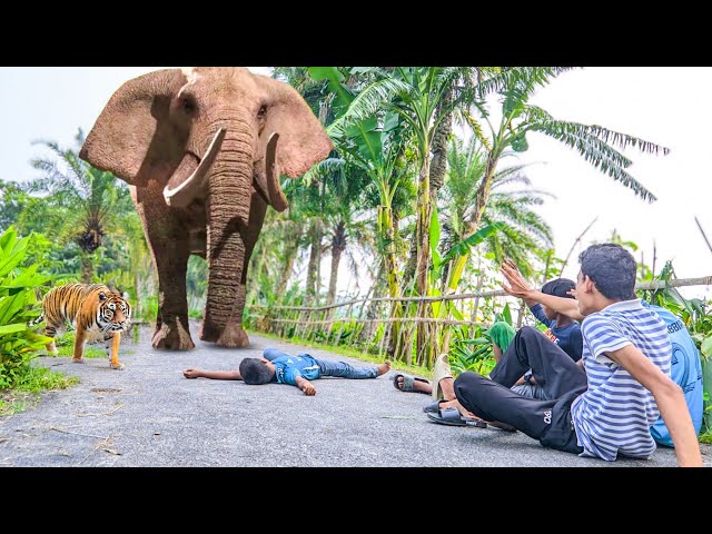 Elephant Attack On Village Boy In Indian Forest | Elephant Attack Video | Fun Made Movie Part 39