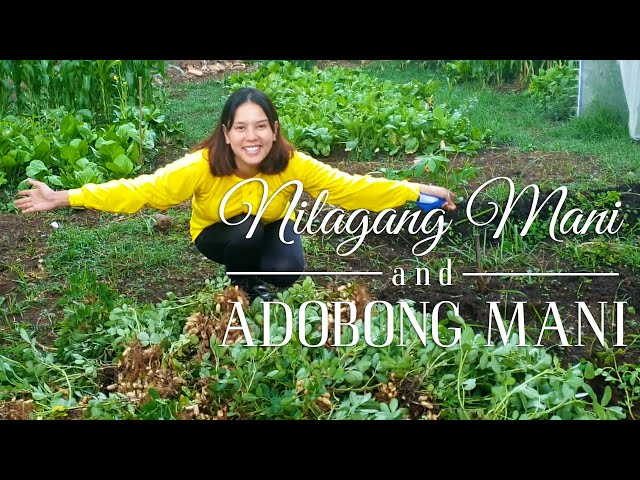 Nilagang Mani & Adobong Mani | Farm to Table | Neri Miranda