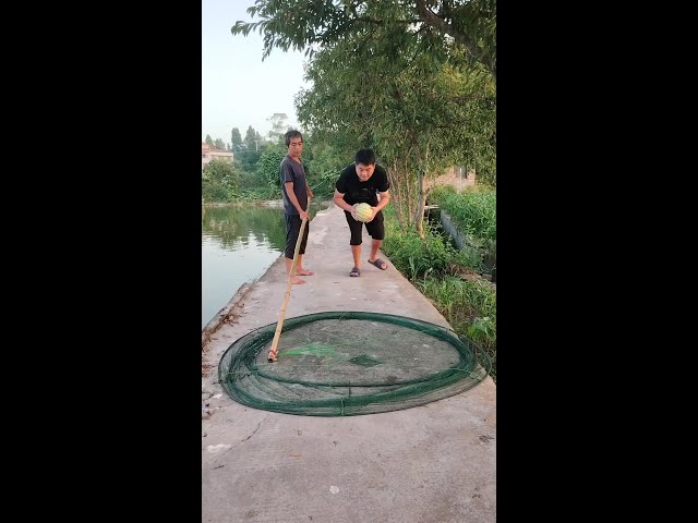 ⭕Fishing net | catch fish. | Outdoor fishing #fishing #shortsviral