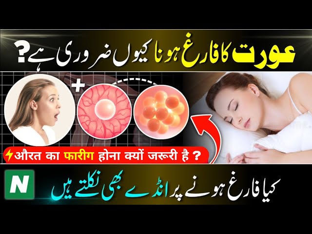 Pregnancy k lia KU Ourat ka Ovulation Discharge Hona Zarori hai ? |Womens Health Ovulation Explained