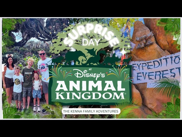 Thrills and Adventure at Disney's Animal Kingdom